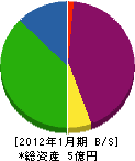 和田建設 貸借対照表 2012年1月期