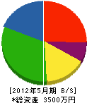 伊藤電機 貸借対照表 2012年5月期