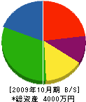 時松産業 貸借対照表 2009年10月期