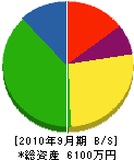 樋口電気商会 貸借対照表 2010年9月期