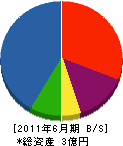 宝永技建 貸借対照表 2011年6月期