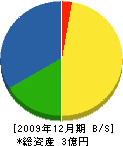 上田組鉄工 貸借対照表 2009年12月期