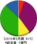 岡田本店 貸借対照表 2010年9月期