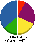 西九州建設 貸借対照表 2012年7月期