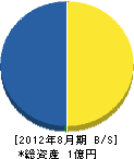 三栄電工 貸借対照表 2012年8月期