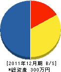 アース・メイク・スギモト 貸借対照表 2011年12月期 アース・メイク・スギモト 貸借対照表 2011年12月期