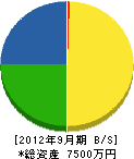 田渕電気工事 貸借対照表 2012年9月期