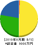 岩田鑿泉工業所 貸借対照表 2010年8月期