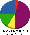 江藤ペンキ店 貸借対照表 2009年12月期