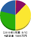 坪井電気商会 貸借対照表 2010年3月期