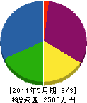 江澤設備工業所 貸借対照表 2011年5月期