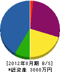 細江電機 貸借対照表 2012年8月期