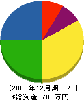 川村建築 貸借対照表 2009年12月期