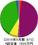 寺嶋工務店 貸借対照表 2010年9月期