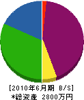 松田造園建設 貸借対照表 2010年6月期