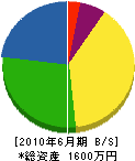 内藤鉄工所 貸借対照表 2010年6月期
