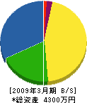 坂本工業 貸借対照表 2009年3月期