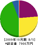 横田住建 貸借対照表 2009年10月期