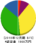 飯塚緑化建設 貸借対照表 2010年12月期