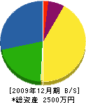 ヤマザキ電器商会 貸借対照表 2009年12月期