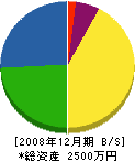 ヤマザキ電器商会 貸借対照表 2008年12月期