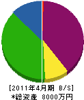 岩澤建設 貸借対照表 2011年4月期