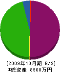 斉藤設備 貸借対照表 2009年10月期
