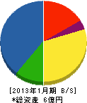 村松電機 貸借対照表 2013年1月期