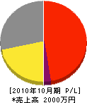 供楽園 損益計算書 2010年10月期