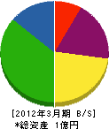 佐勇建設 貸借対照表 2012年3月期
