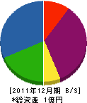 渡邊工務店 貸借対照表 2011年12月期