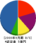 生田建設 貸借対照表 2008年9月期