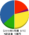 アイケイ電機 貸借対照表 2010年8月期