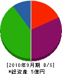 松山環境サービス 貸借対照表 2010年9月期