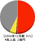 中日本ランドスケープ 損益計算書 2009年12月期