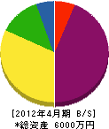 山昭 貸借対照表 2012年4月期