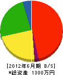 小和田建設 貸借対照表 2012年6月期