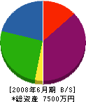 菅誠建設工業 貸借対照表 2008年6月期