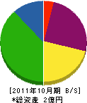 坂本工業 貸借対照表 2011年10月期