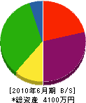 鈴木建装 貸借対照表 2010年6月期
