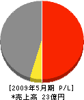 石川営板 損益計算書 2009年5月期
