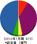 野澤組 貸借対照表 2012年1月期