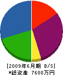 尾崎組 貸借対照表 2009年6月期
