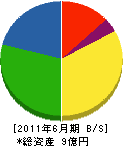 植松鈴木組 貸借対照表 2011年6月期