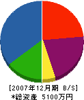 塚本工務店 貸借対照表 2007年12月期
