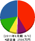 田代電業 貸借対照表 2011年6月期