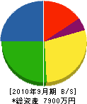 ヤマサキ 貸借対照表 2010年9月期