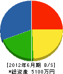 辻緑化土木 貸借対照表 2012年6月期