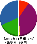 長谷川鐵工所 貸借対照表 2012年11月期