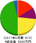 ニシムラ運輸 貸借対照表 2011年6月期